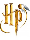 Etiquetas Escolares Mooving X 12 U Harry Potter (1301222) L