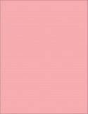 Cuaderno Escolar Exito E3 Forrado Araña T/dura X 96 Hojas Rayadas Rosa