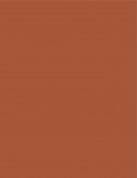 Tinta P/pizarra Trabi X 30 Ml Marron