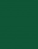Tinta P/pizarra Trabi X 30 Ml Verde