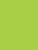 Tinta P/pizarra Trabi X 30 Ml Verde Claro (lima)