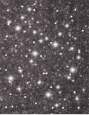 Adhesivo Glitter Plasticola Brillo X 37 Grs Negro