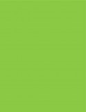 Bibliorato Four Witch De Pvc A4 Lomo Nro 4 Verde Manzana 7431