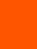 Cartulina Escolar Luma Color Fluo De 45 X 63 Cm X 10 U. Naranja