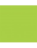 Boligrafo Faber Castell Trilux Medium 032 Verde Claro